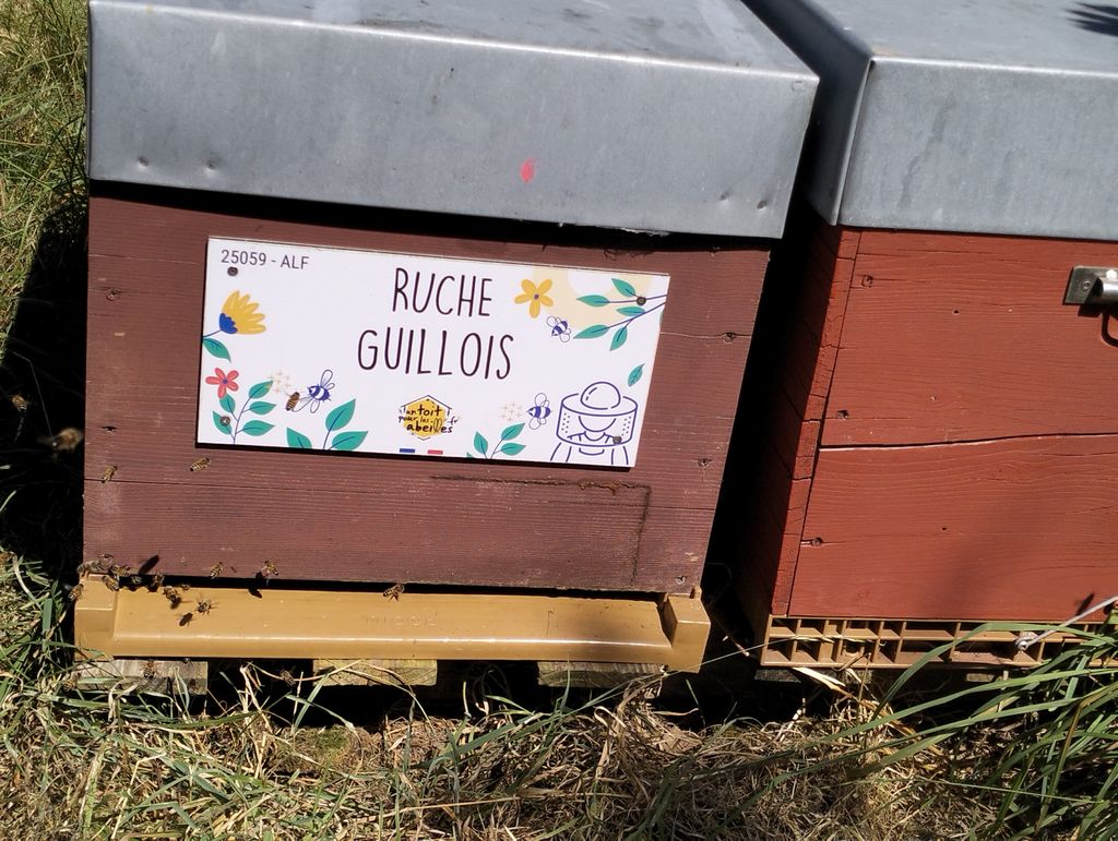 La ruche Guillois