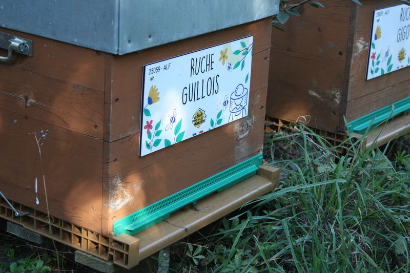La ruche Guillois