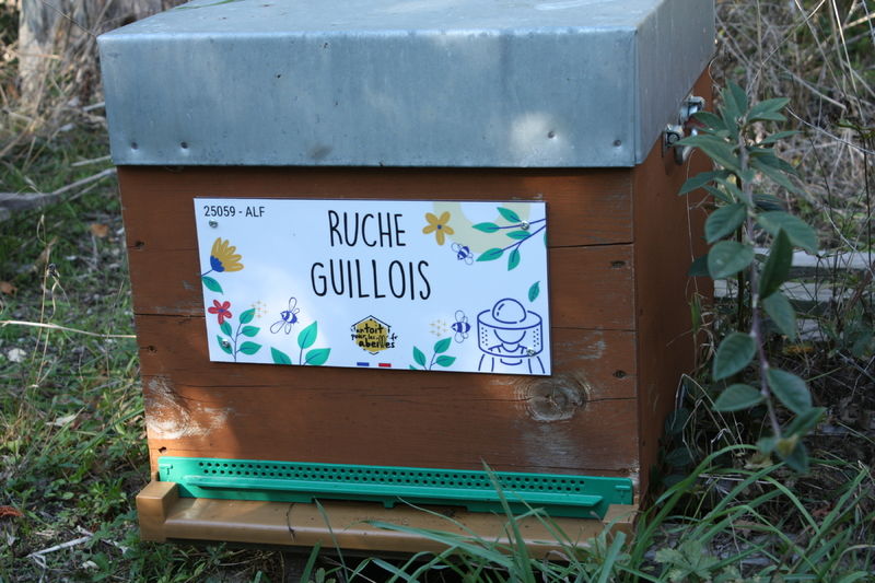 La ruche Guillois