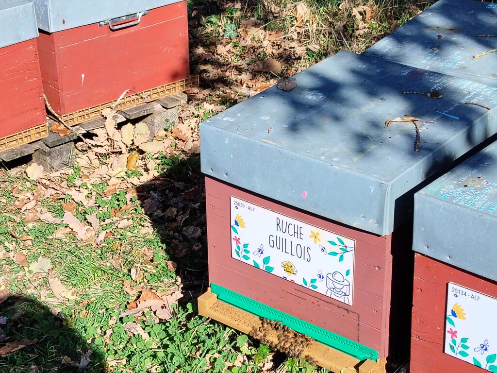 La ruche Guillois