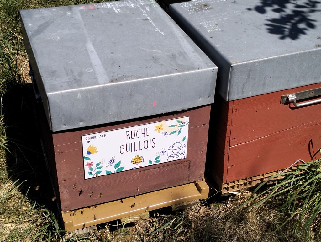 La ruche Guillois