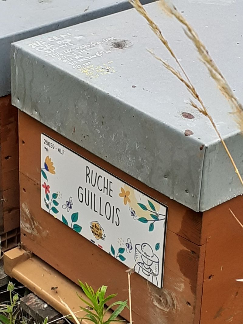 La ruche Guillois