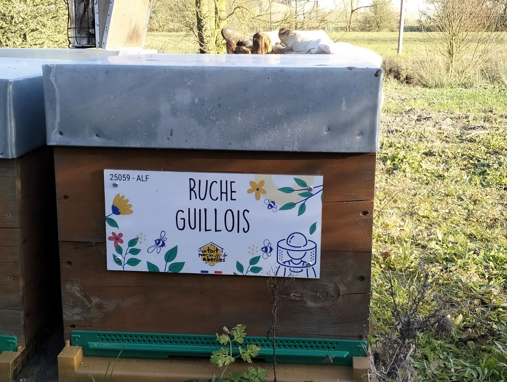 La ruche Guillois