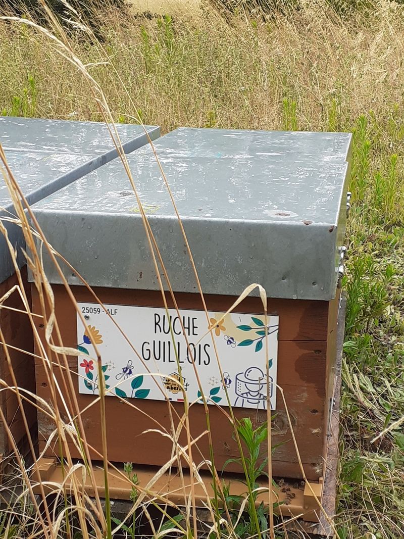 La ruche Guillois