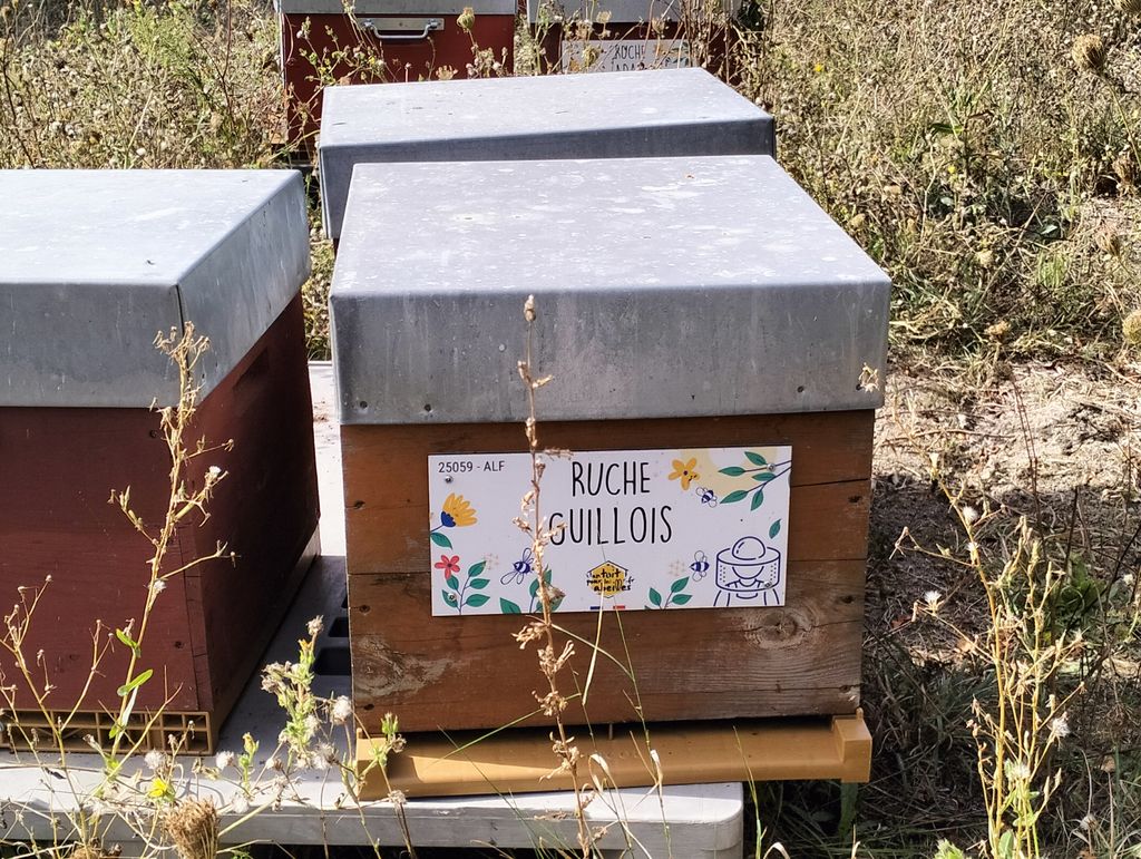 La ruche Guillois