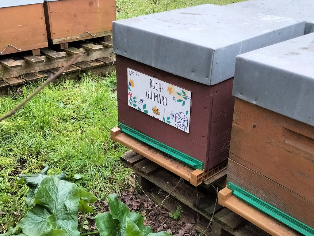 La ruche Guimard