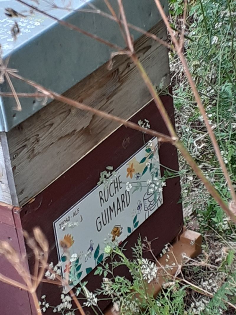 La ruche Guimard