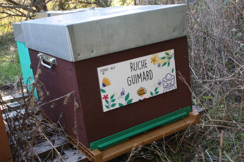 La ruche Guimard