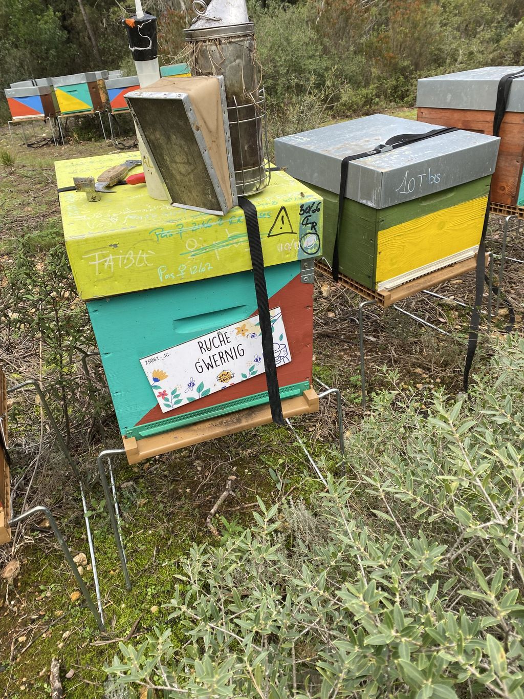 La ruche Gwernig