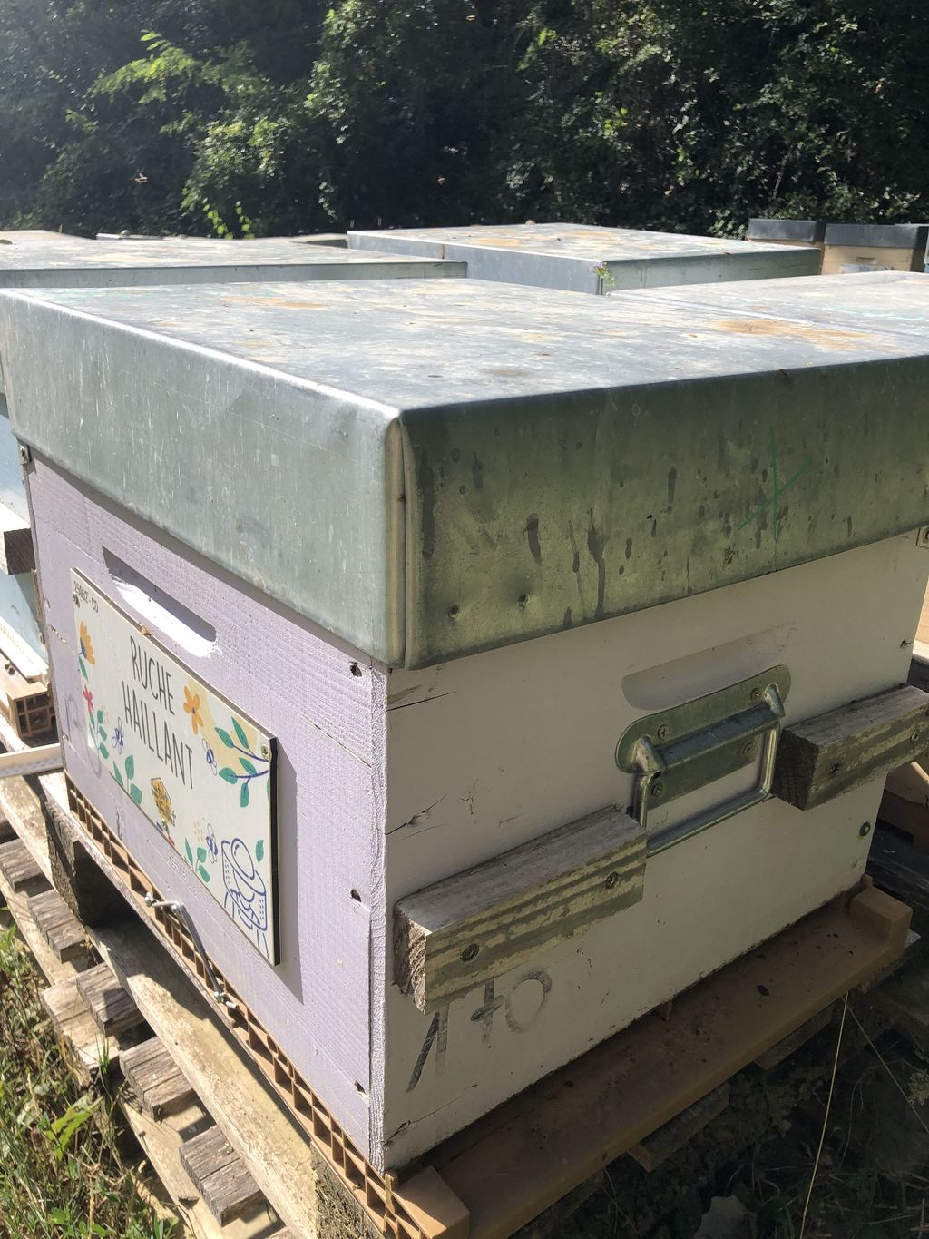 La ruche Haillant