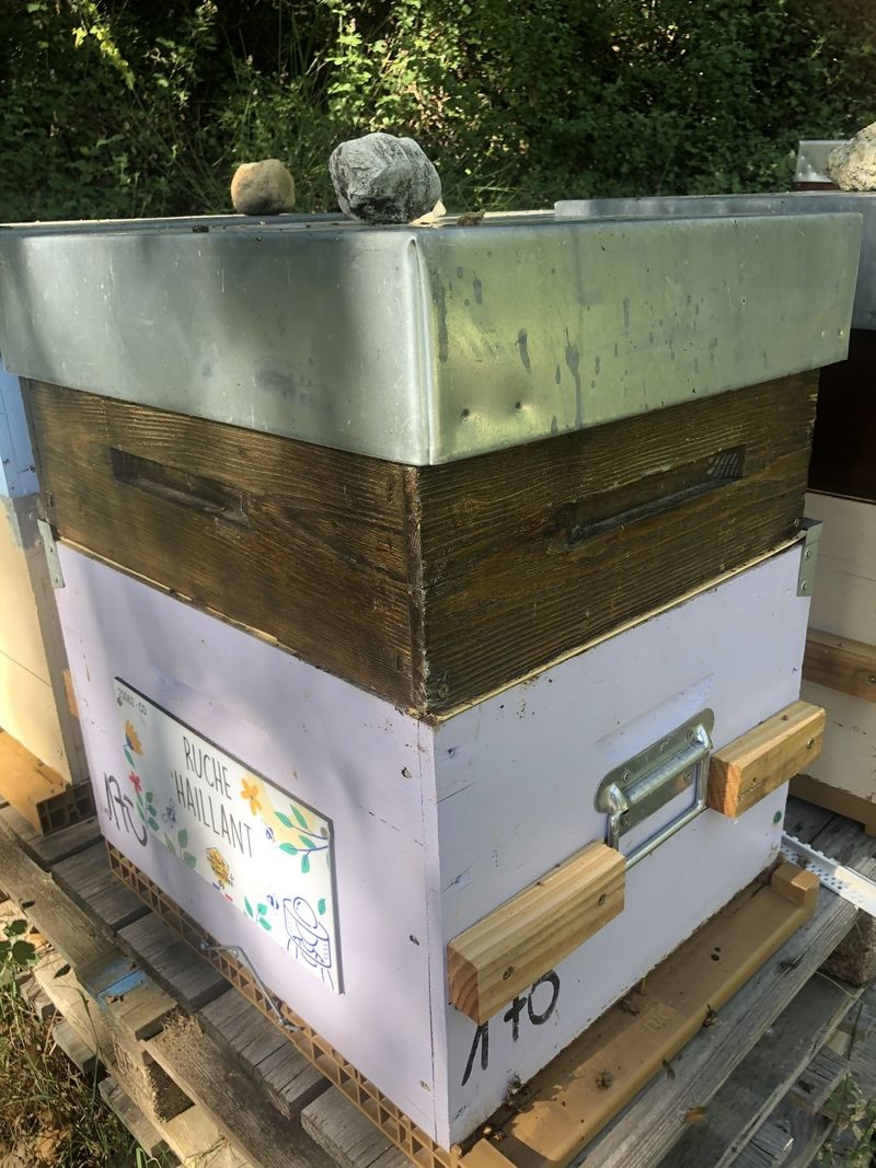 La ruche Haillant