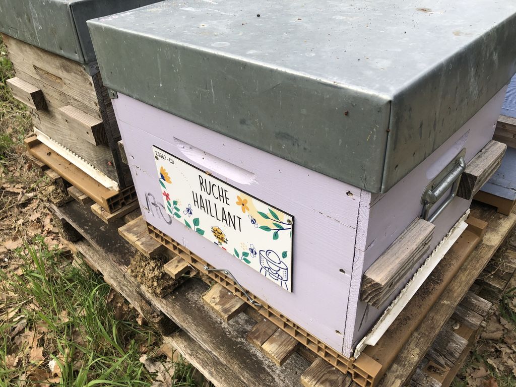 La ruche Haillant