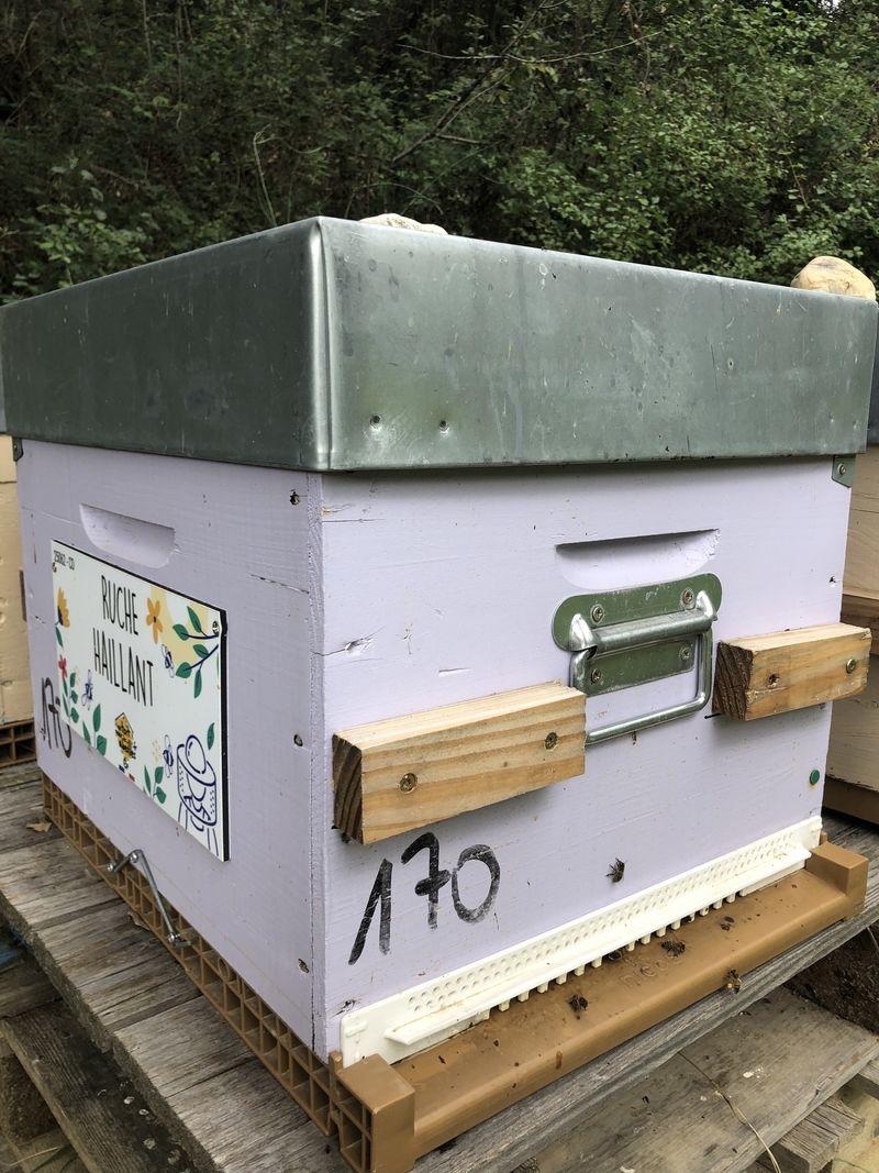 La ruche Haillant