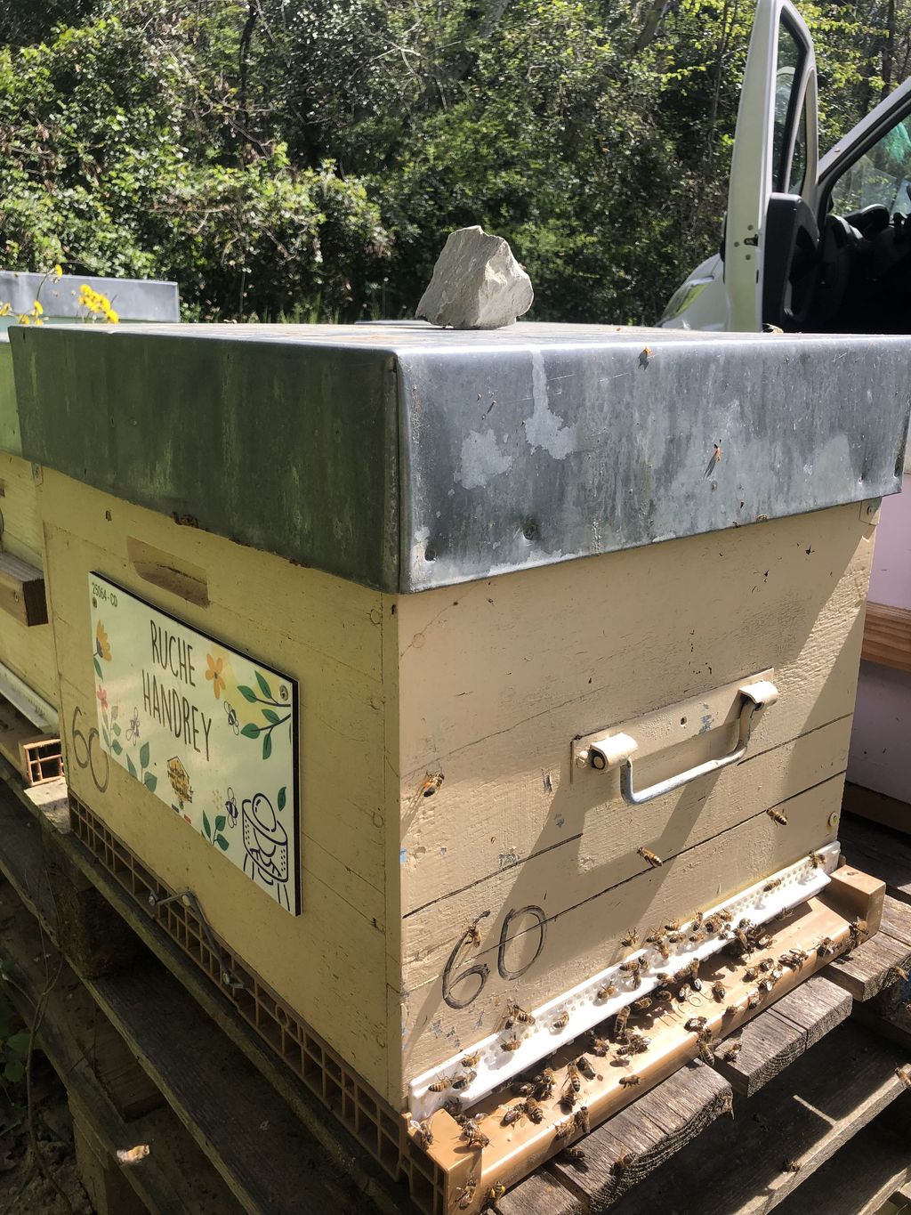 La ruche Handrey