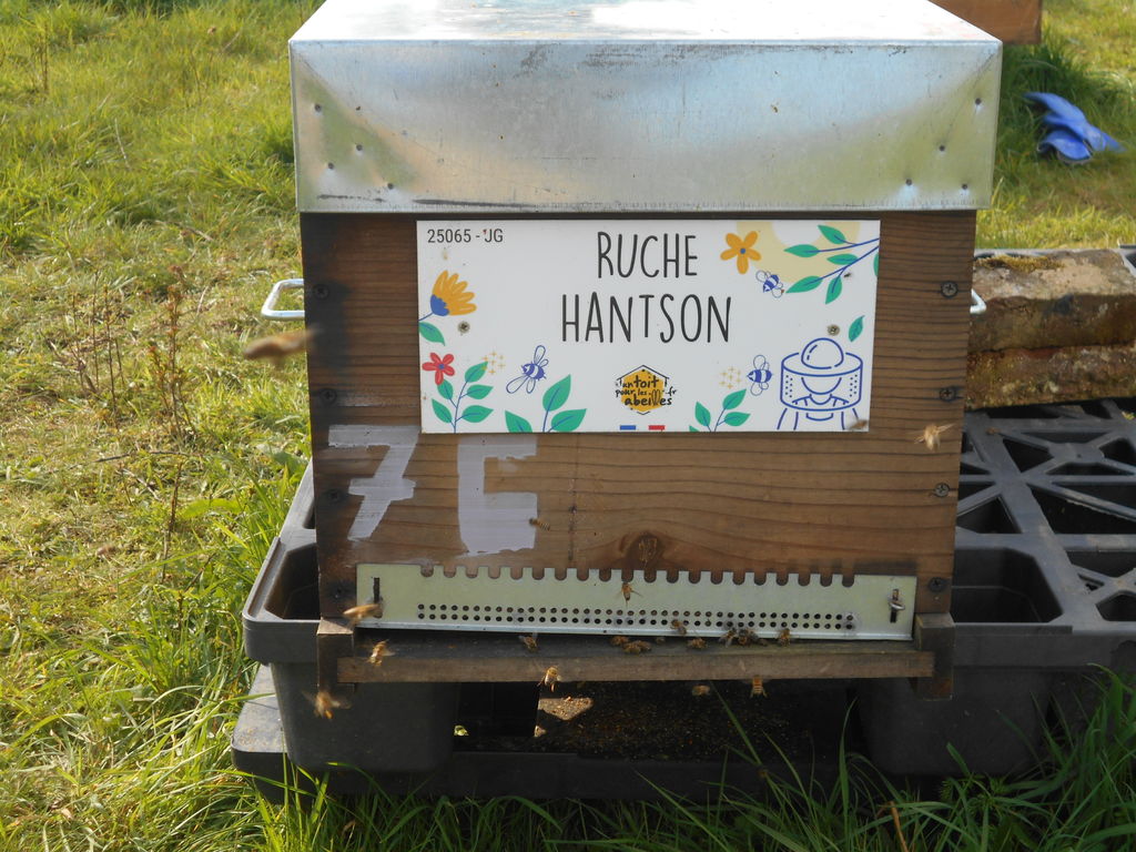 La ruche Hantson