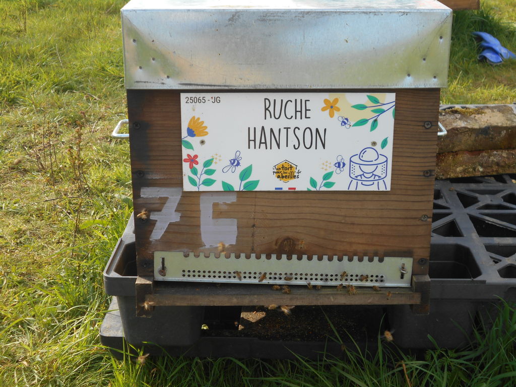 La ruche
