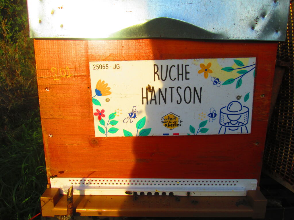 La ruche Hantson