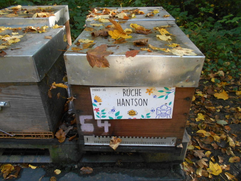 La ruche Hantson