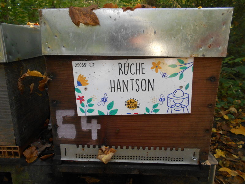 La ruche Hantson