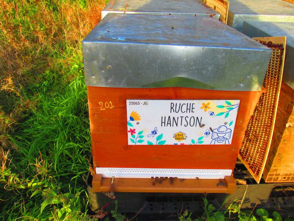 La ruche Hantson