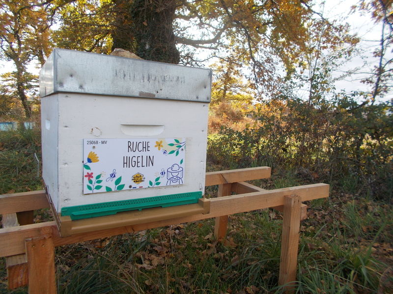 La ruche Higelin