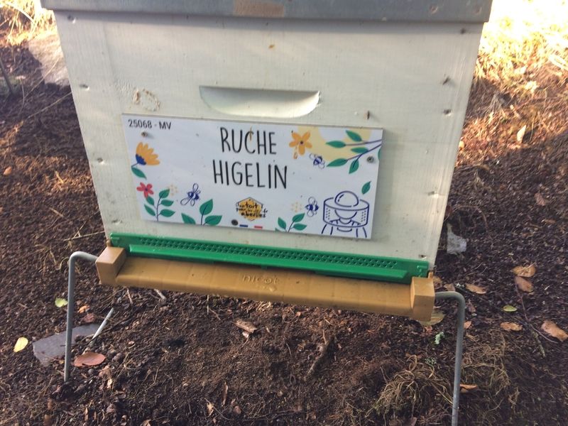 La ruche Higelin