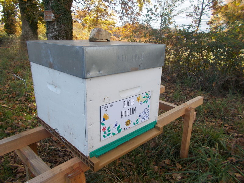 La ruche Higelin