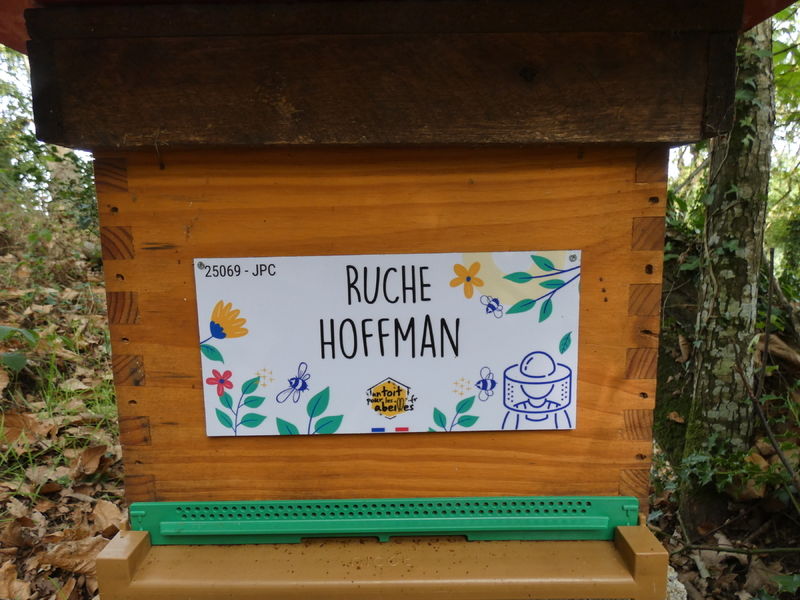 La ruche Hoffman