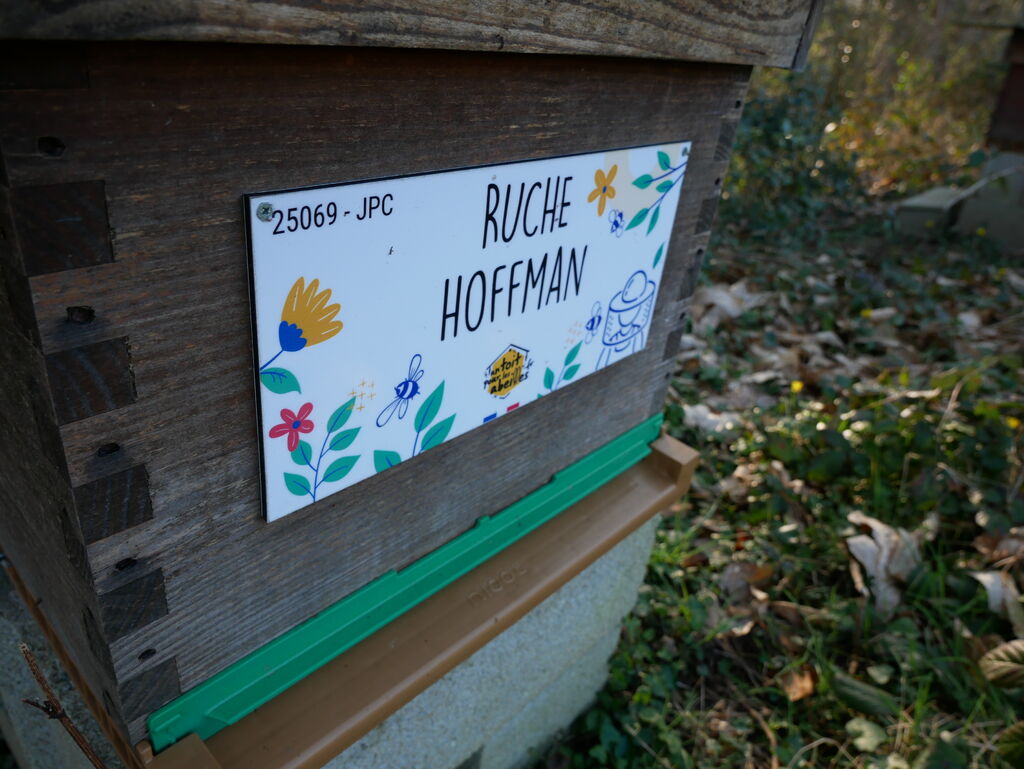 La ruche Hoffman