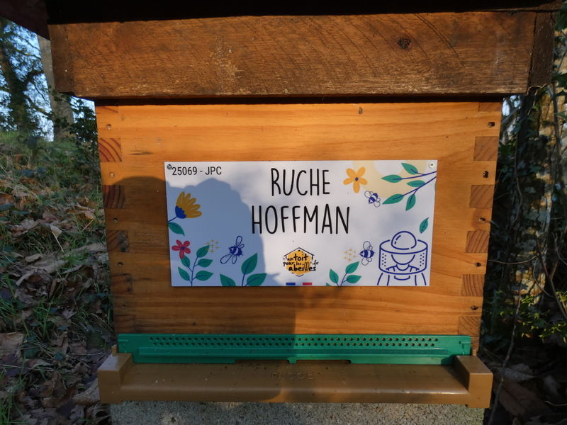 La ruche Hoffman