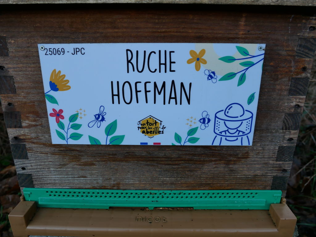 La ruche Hoffman