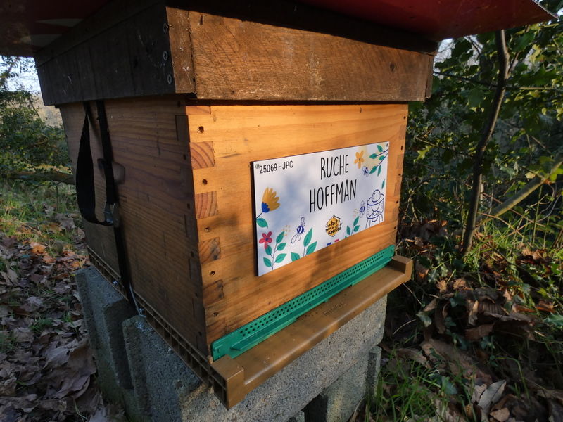 La ruche Hoffman