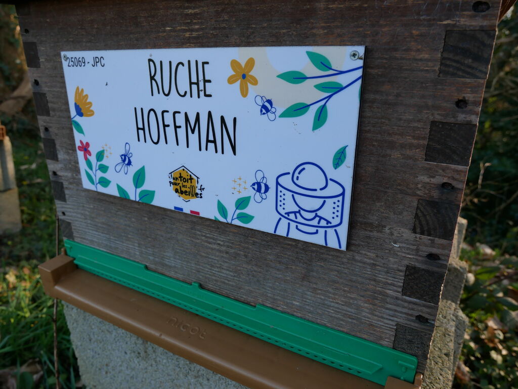 La ruche Hoffman