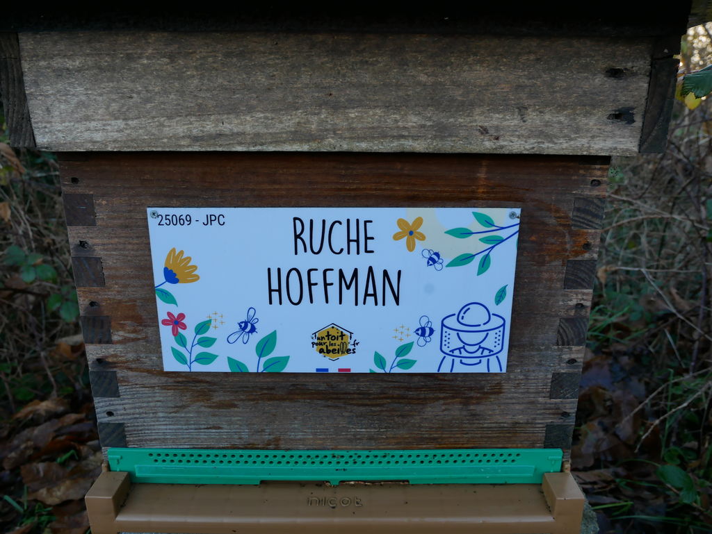 La ruche Hoffman