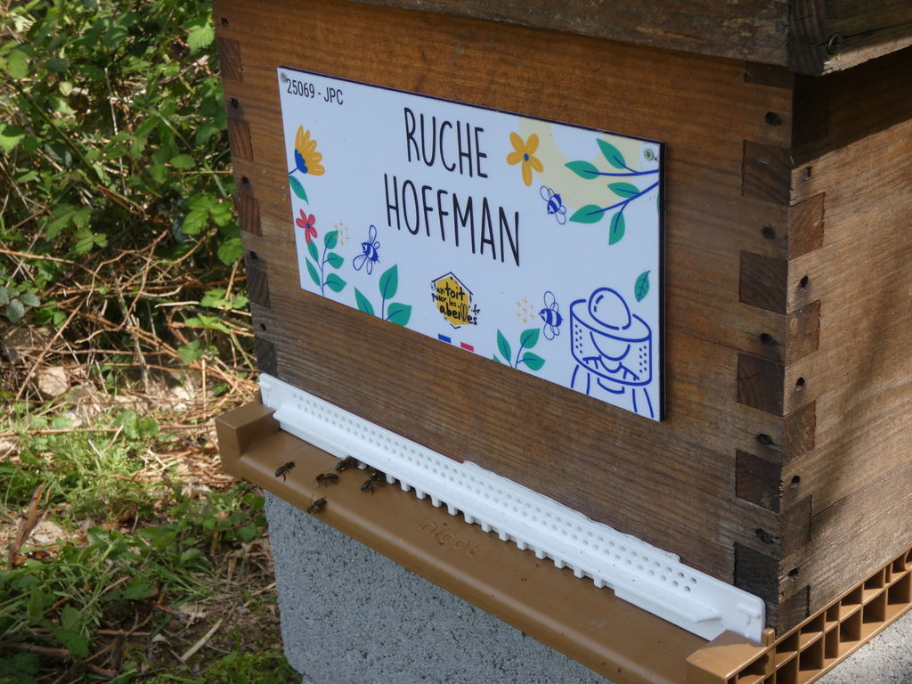 La ruche