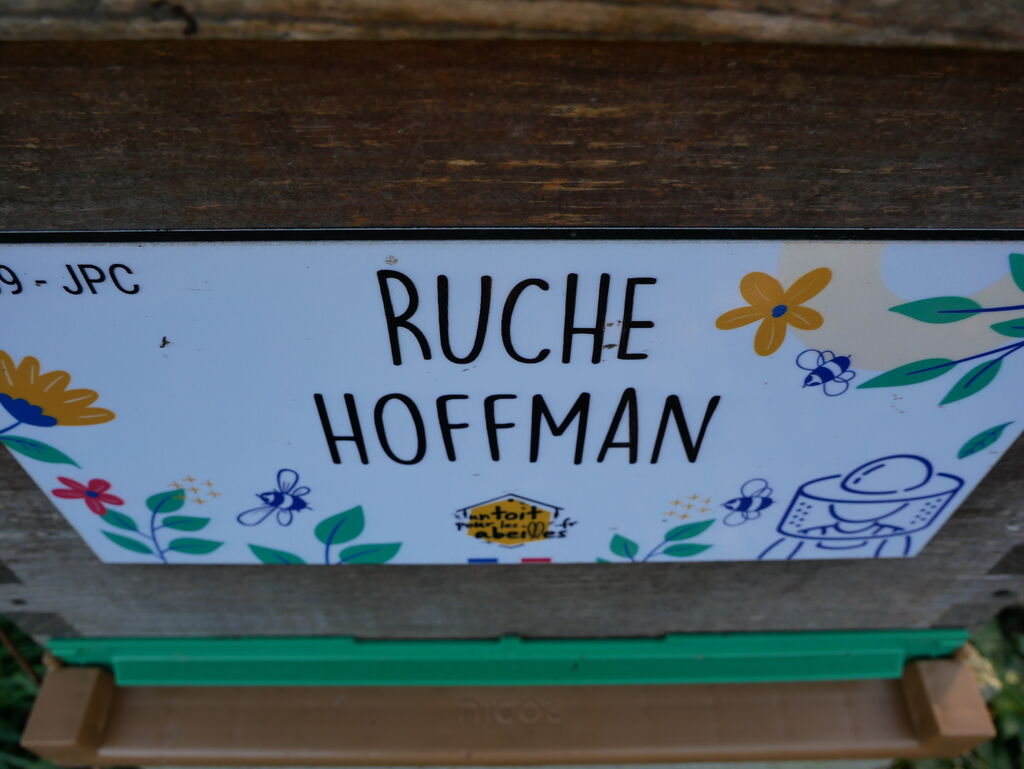 La ruche Hoffman