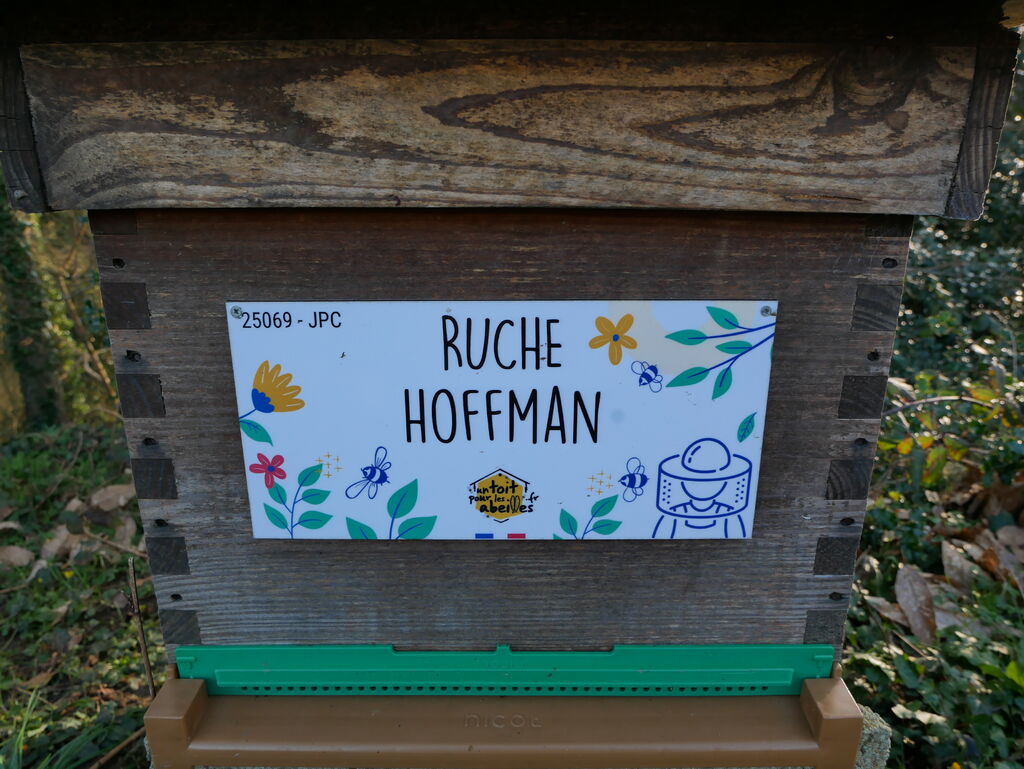 La ruche Hoffman