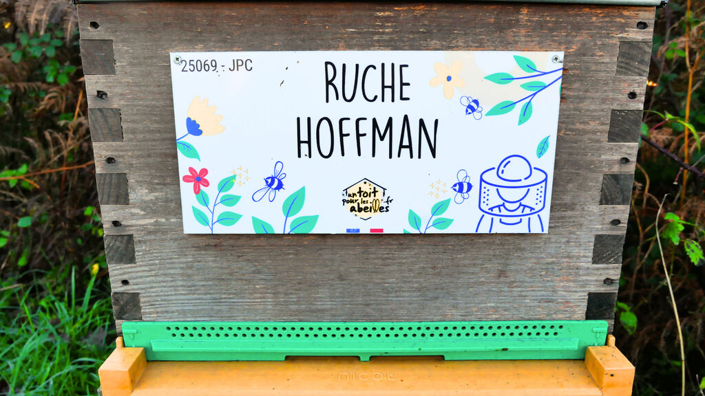 La ruche Hoffman