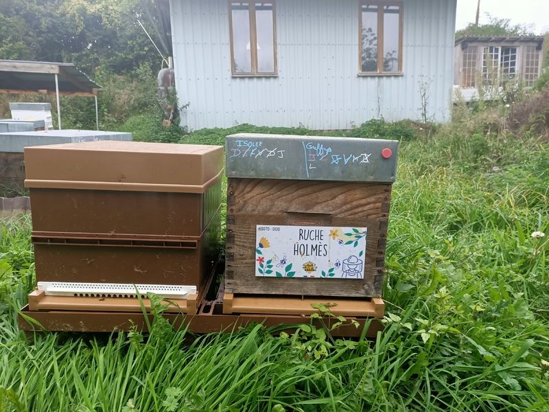 La ruche Holmès
