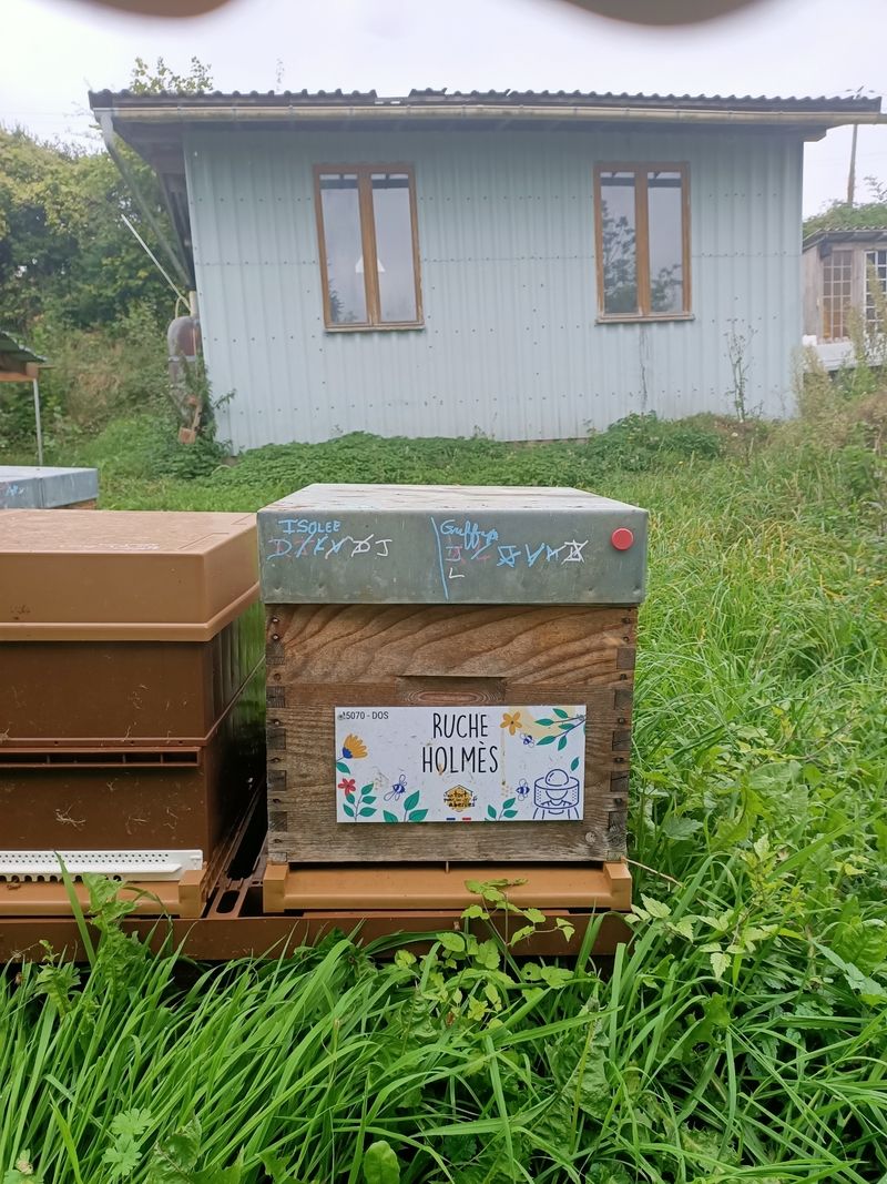 La ruche Holmès