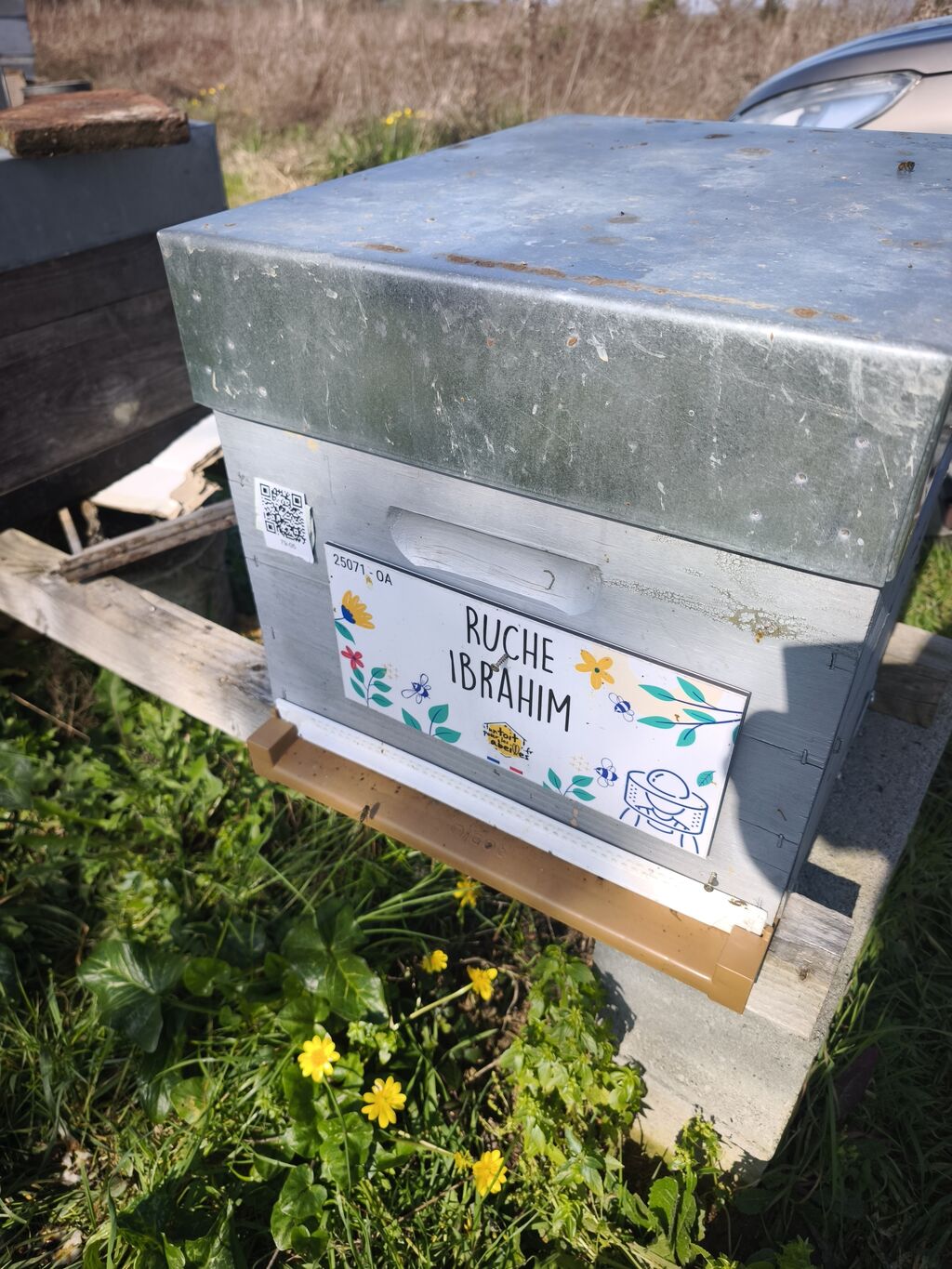 La ruche Ibrahim