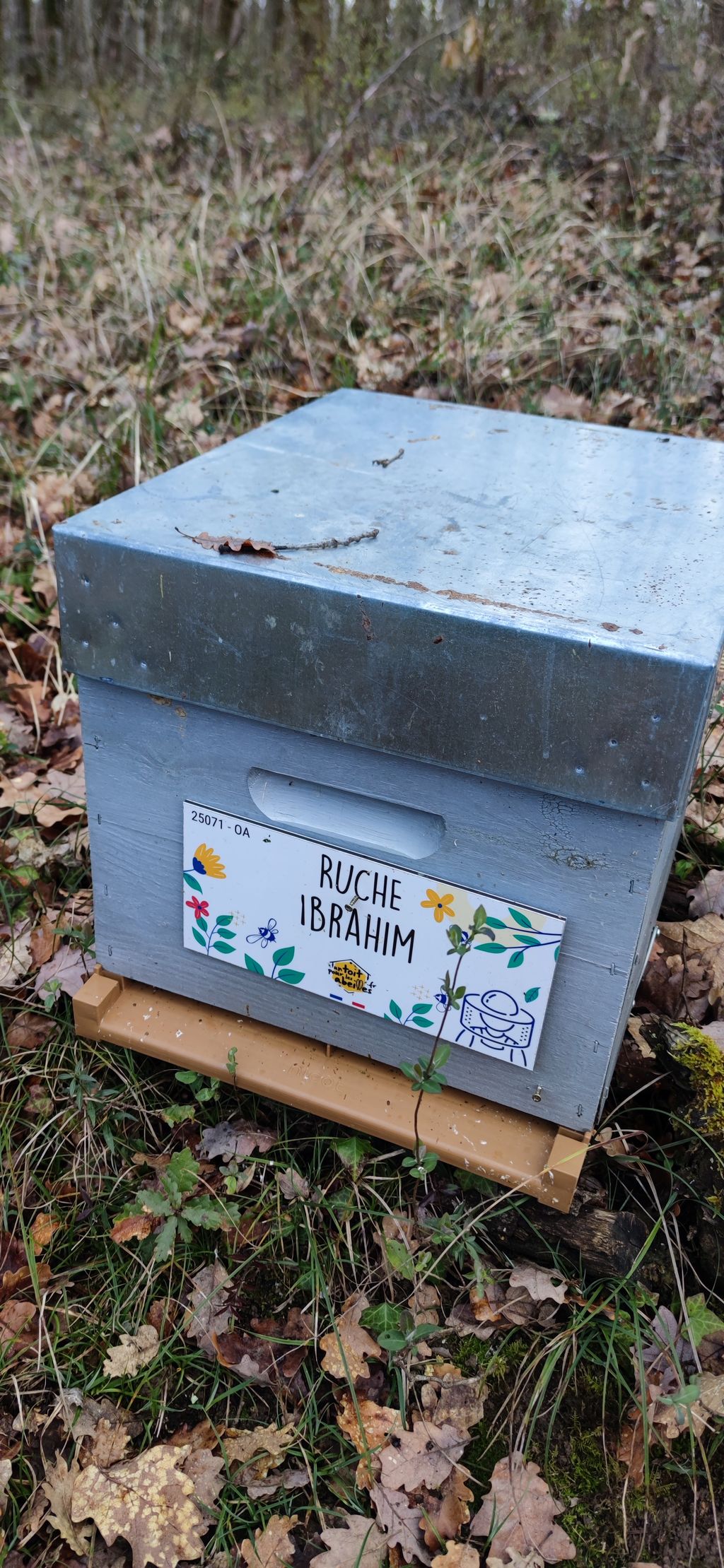 La ruche Ibrahim