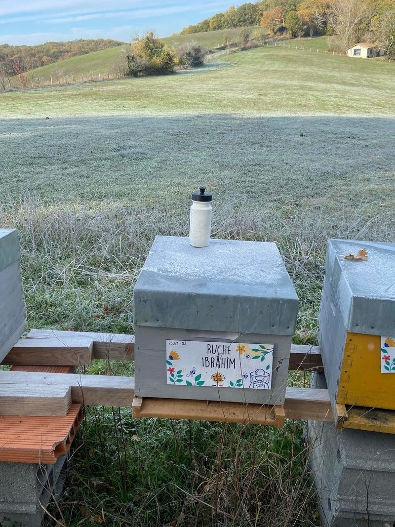 La ruche Ibrahim