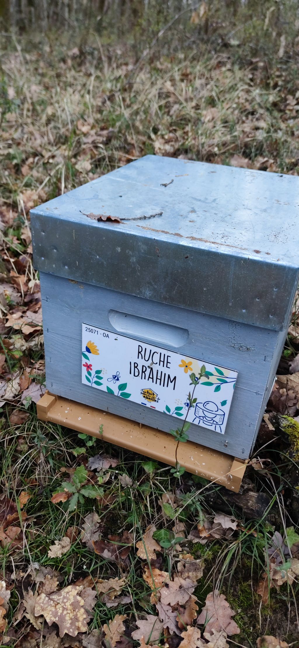 La ruche Ibrahim