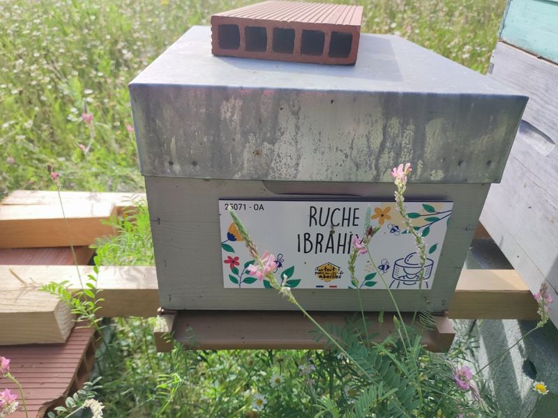 La ruche Ibrahim