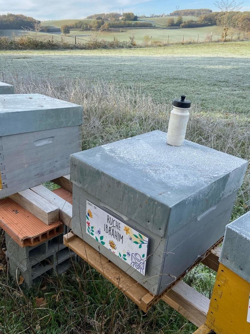 La ruche Ibrahim