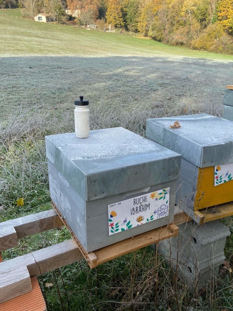 La ruche Ibrahim
