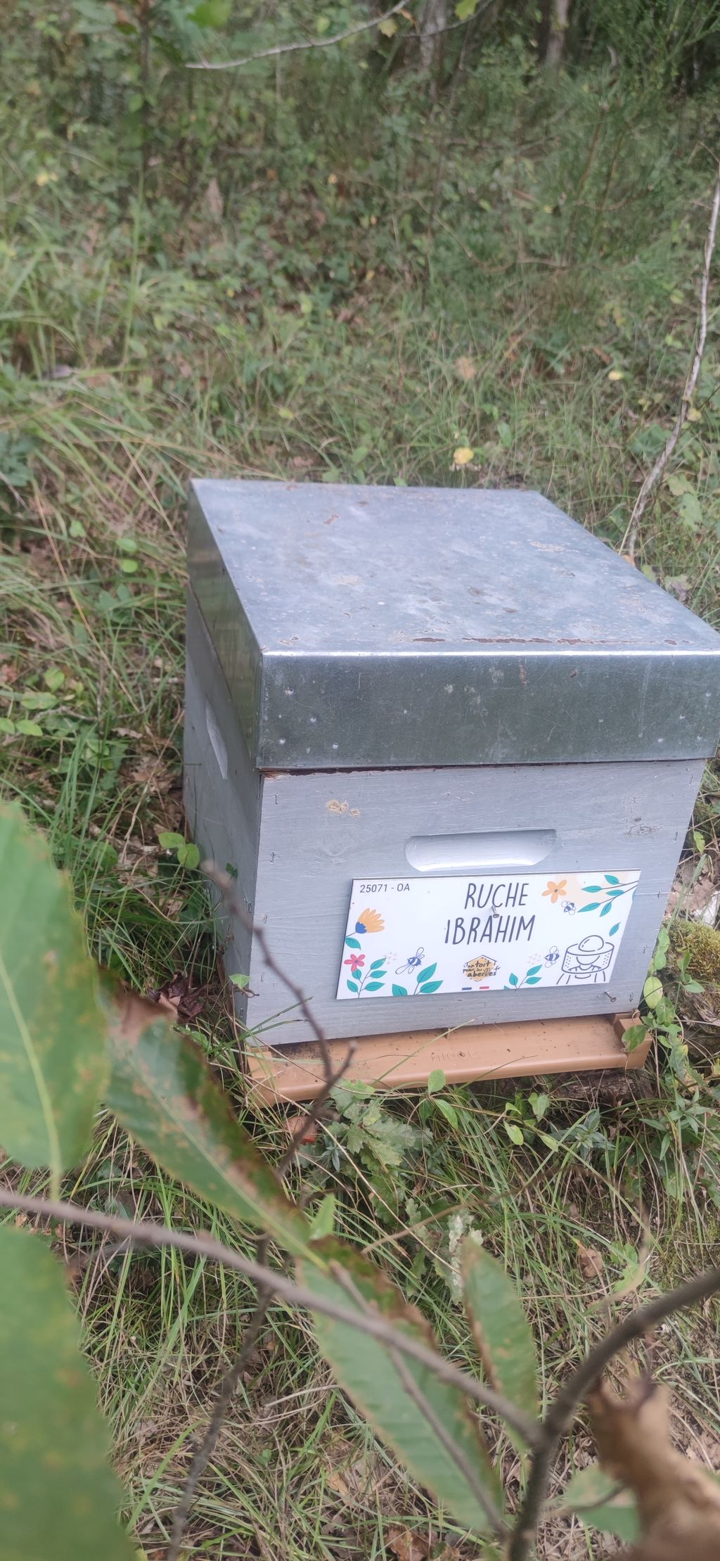 La ruche Ibrahim