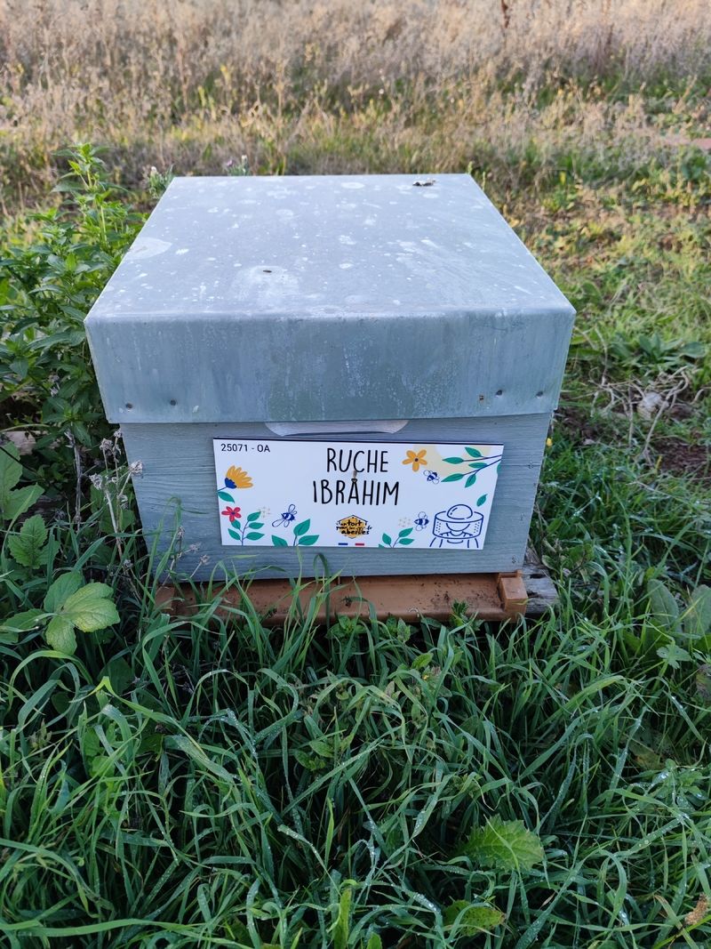 La ruche Ibrahim