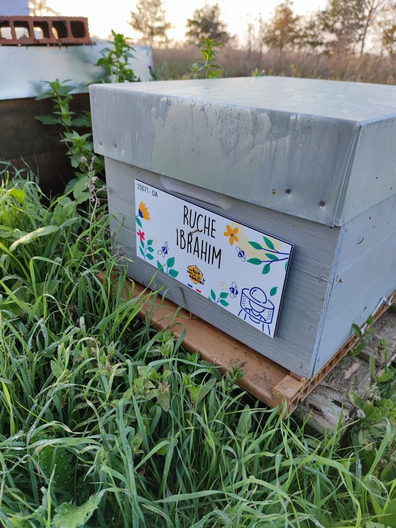 La ruche Ibrahim